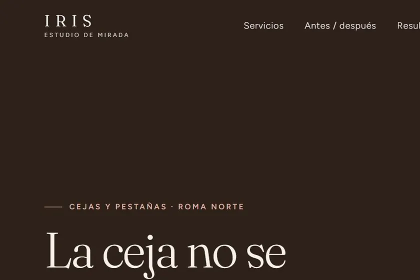 Vista del diseño web de IRIS