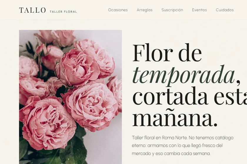 Vista del diseño web de TALLO